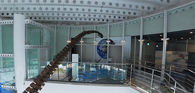 ドローンから撮影したクビナガリュウの画像