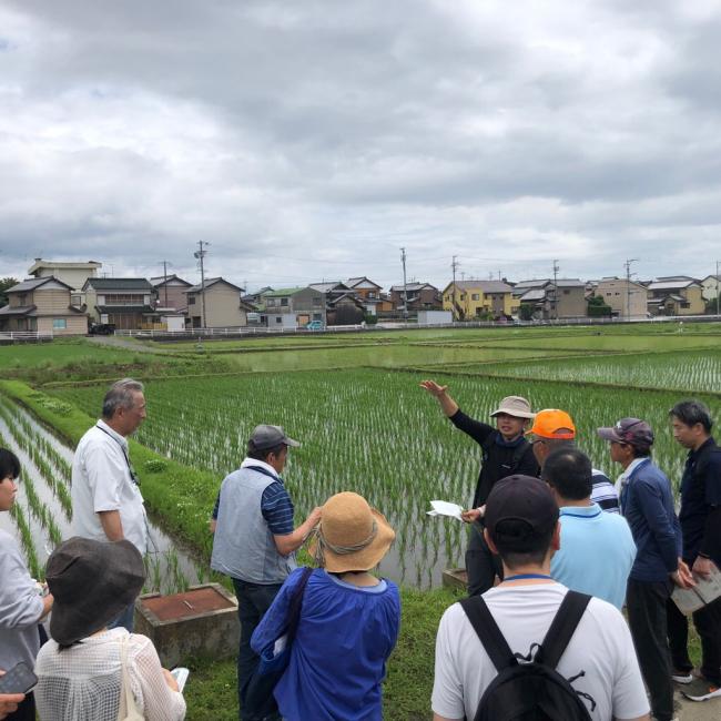 田んぼの草花の魅力発見ツアー