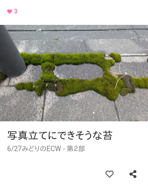 かわいらしい苔