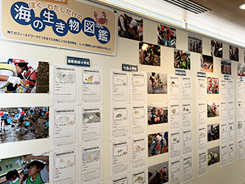 ミニ展示会場風景写真