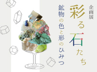 企画展「彩る石たち 〜鉱物の色と形のひみつ〜」サムネイル画像