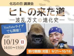 化石の日講演会「ヒトの来た道 ー波乱万丈の進化史ー」のバナー画像