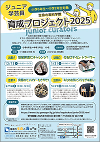 ジュニア学芸員育成プロジェクト2025チラシサムネイル画像