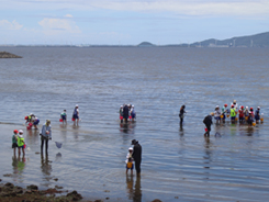 三河湾環境チャレンジの活動の様子写真