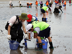 三河湾環境チャレンジの活動の様子写真