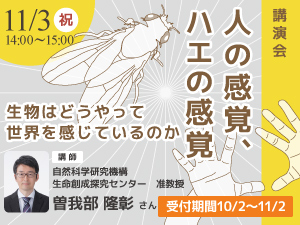 講演会「人の感覚、ハエの感覚～生物はどうやって世界を感じているのか～」のバナー画像
