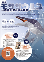 企画展「モササウルス〜白亜紀末の海の覇者〜」チラシサムネイル画像