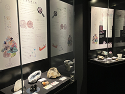 企画展「彩る石たち 〜鉱物の色と形のひみつ〜」会場風景写真