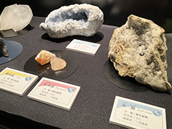 企画展「彩る石たち 〜鉱物の色と形のひみつ〜」会場風景写真