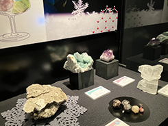企画展「彩る石たち 〜鉱物の色と形のひみつ〜」会場風景写真
