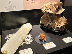 企画展「彩る石たち 〜鉱物の色と形のひみつ〜」会場風景写真