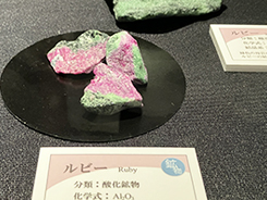 企画展「彩る石たち 〜鉱物の色と形のひみつ〜」会場風景写真