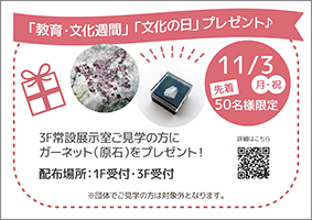 「教育・文化週間」「文化の日」プレゼント♪のチラシサムネイル画像