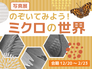 写真展「のぞいてみよう!ミクロの世界」のバナー画像