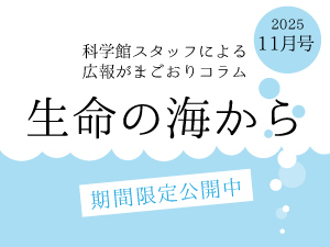 科学館スタッフによる広報がまごおりコラム「生命の海から」のバナー画像