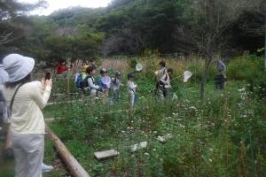 里山自然観察会のアサギマダラ観察の様子です。