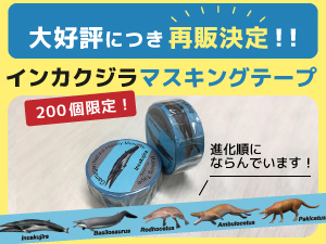 インカクジラマスキングテープのバナー画像