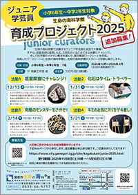 ジュニア学芸員育成プロジェクト2025追加募集チラシサムネイル画像