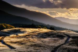 この写真は写真集団「雲」の作品です。