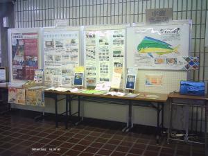 この画像は昨年の展示の様子です