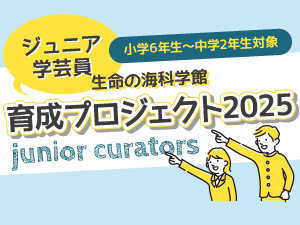 生命の海科学館ジュニア学芸員育成プロジェクト2025のバナー画像