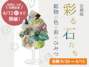 企画展「彩る石たち 〜鉱物の色と形のひみつ〜」のバナー画像