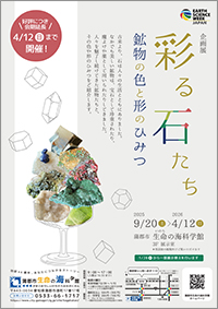 企画展「彩る石たち 〜鉱物の色と形のひみつ〜」サムネイル画像