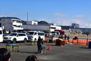 災害救助犬による訓練展示