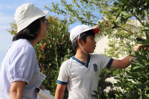 取材班の方にみかんの説明をしている様子です