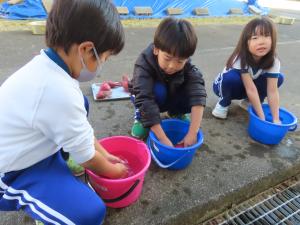 いもを洗っている１年生の写真です