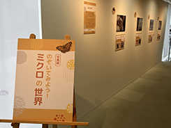写真展「のぞいてみよう！ミクロの世界」の会場風景写真