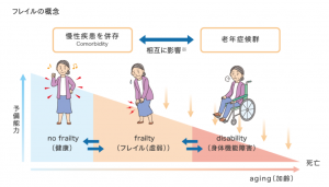 加齢などにより筋力や筋肉量が減少すると活動量が減り、エネルギー消費量が低下します。さらにその状態では食欲が湧かないので、食事の摂取量が減り、タンパク質をはじめとした栄養の摂取不足による低栄養の状態になります。低栄養の状態が続くと体重が減少し、筋力や筋肉量が