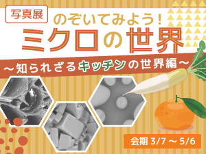 写真展「のぞいてみよう！ミクロの世界 〜知られざるキッチンの世界編〜」のバナー画像