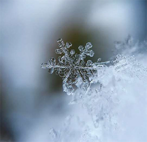 雪の結晶の画像