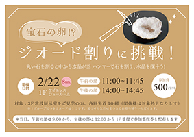 宝石の卵！？ジオード割りに挑戦！チラシサムネイル画像