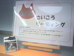 この写真は、ねこのさいころリーディングの様子です。