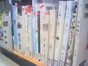 この写真は、ねこのさいころリーディングの様子です。