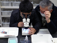 理科実験室風景画像