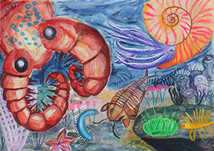 【準特選】 高槻市立清水小学校1年　竹中 翼 さん