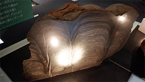 ストロマトライトの画像