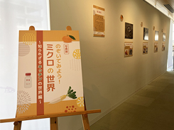 写真展の会場風景写真