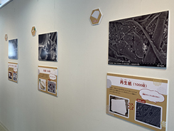 写真展の会場風景写真