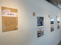 写真展の会場風景写真