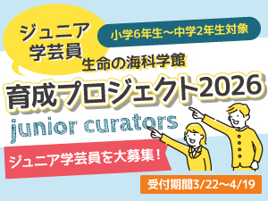 生命の海科学館ジュニア学芸員育成プロジェクト2026のバナー画像