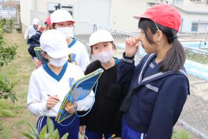 質問する４年生とそれに答える５年生の様子です