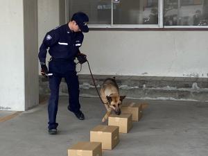 この写真は麻薬探知犬デモンストレーションの様子です。