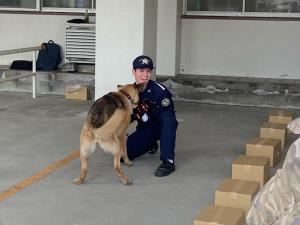 この写真は荷物を見つけてほめてもらっている麻薬探知犬です。