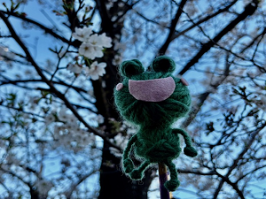 この写真はめくるくんがお花見している様子です