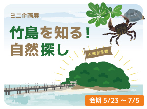 ミニ企画展「竹島を知る！自然探し」のバナー画像