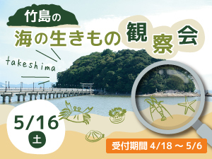 竹島の海の生きもの観察会のバナー画像